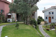 Property 1019 photo 5