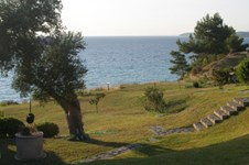 Property 1019 photo 16