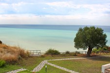 Property 1019 photo 18