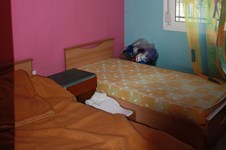 Property 1024 photo 5