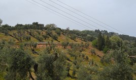 Land 4700 m² auf Korfu