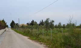 სასტუმრო 4000 m² კორფუზე