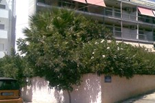 Property 1026 photo 1