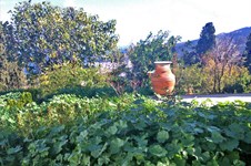 Property 10261 photo 7