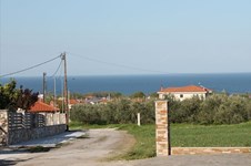 Property 10290 photo 1