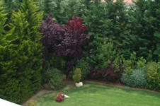 Property 1030 photo 20