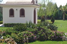 Property 1031 photo 27