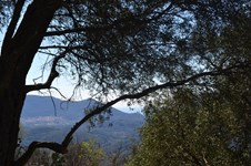Property 10316 photo 26