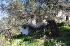 Property 10316 photo 27
