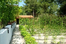 Property 1034 photo 36
