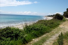 Property 1034 photo 30
