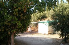 Property 1037 photo 3