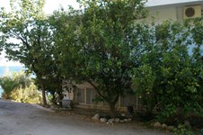 Property 1037 photo 5