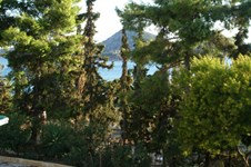 Property 1037 photo 9