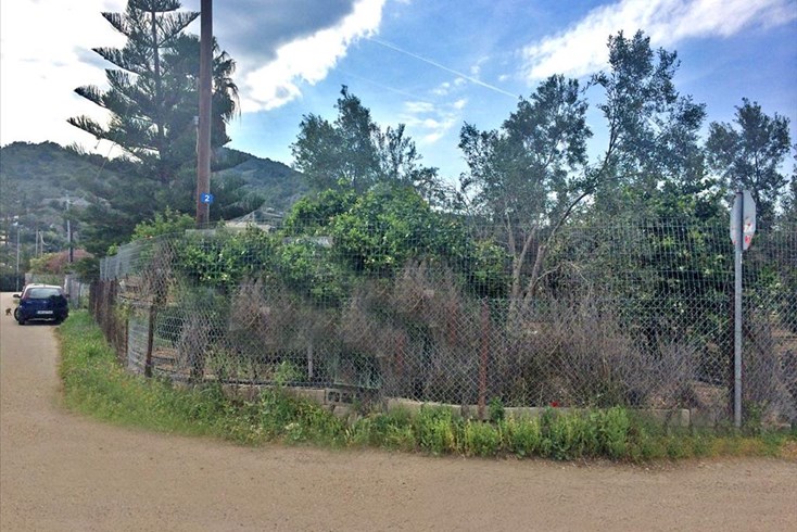 Realty photo 3