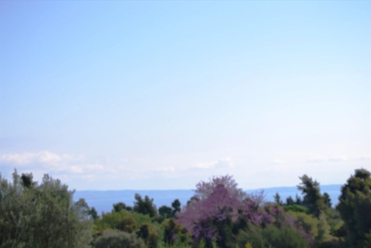 Realty photo 3