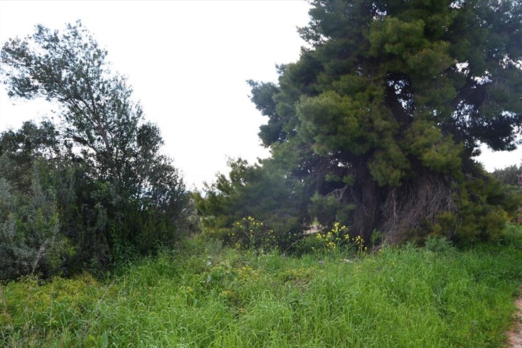 Realty photo 2