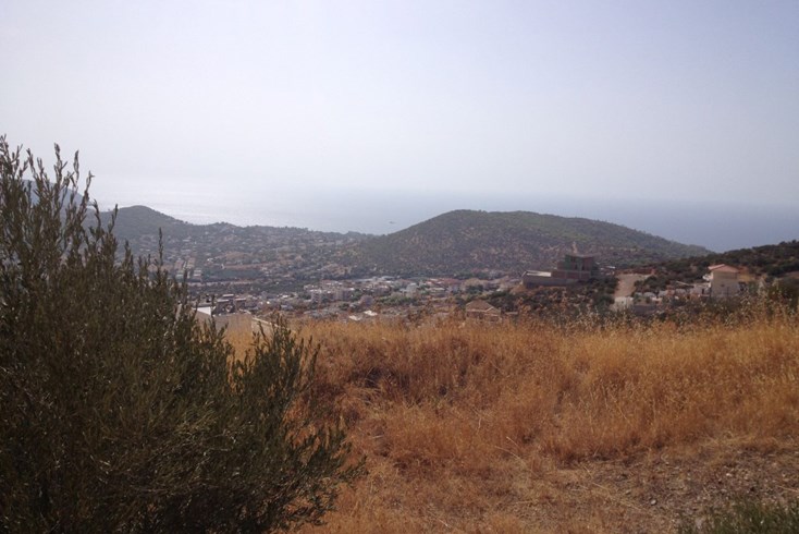 Realty photo 2