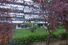 Property 10408 photo 7