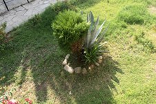 Property 1041 photo 3