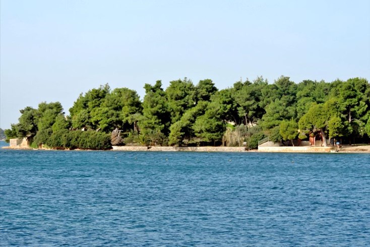 Realty photo 1