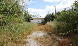 Земельна ділянка 1538 m² на Криті
