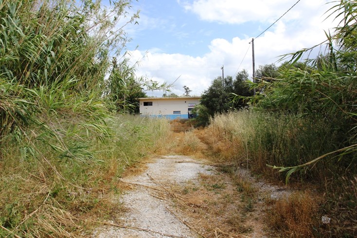 Realty photo 1