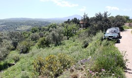 Zemljište 1007 m² na Kritu