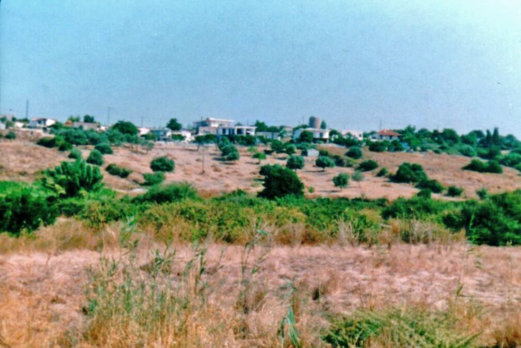 Realty photo 2
