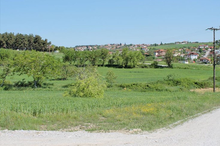 Realty photo 1