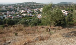 Land 7230 m² auf Sithonia (Chalkidiki)