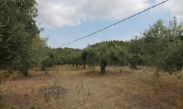 Земельна ділянка 726 m² на Сітонії (Халкідіки)