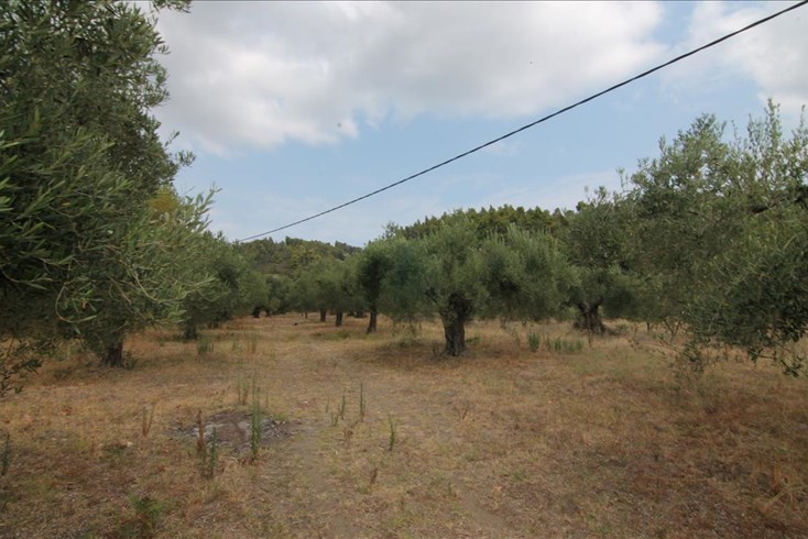 Realty photo 1