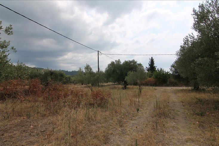 Realty photo 3