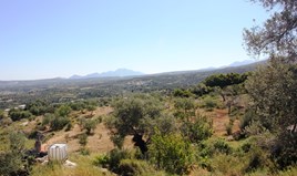 Land 5000 m² auf Kreta