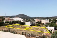 Property 10571 photo 1