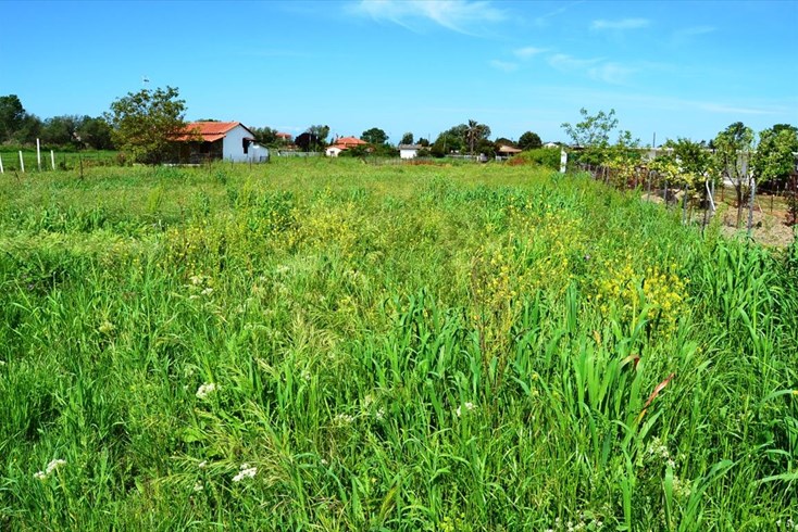 Realty photo 1
