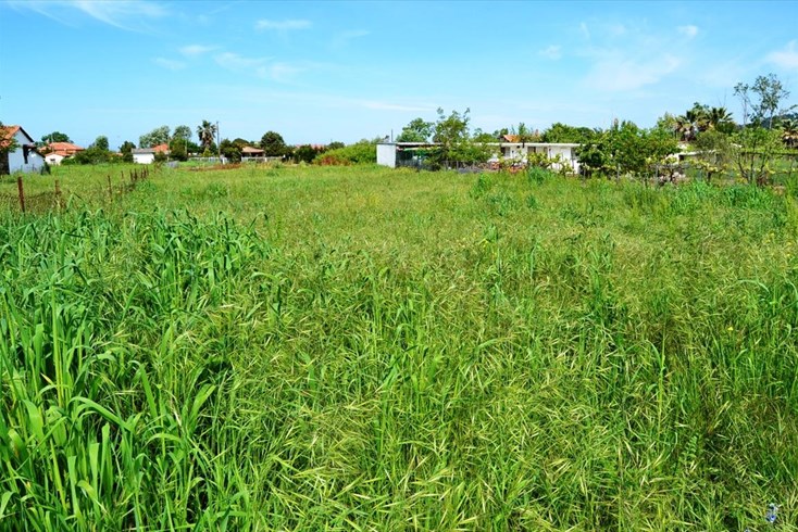 Realty photo 2