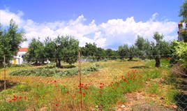 Land 4578 m² in Sithonia, Chalkidiki