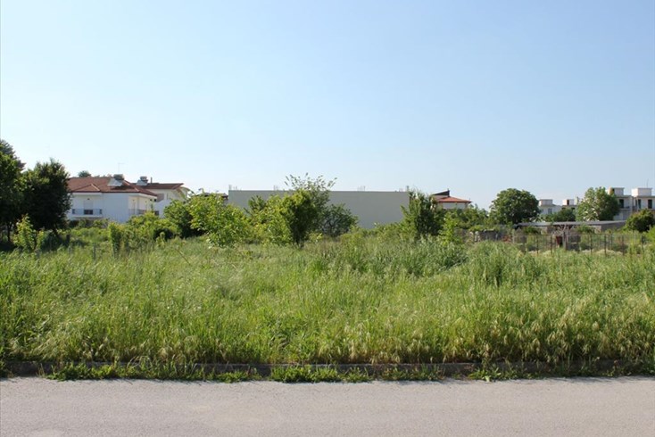 Realty photo 2