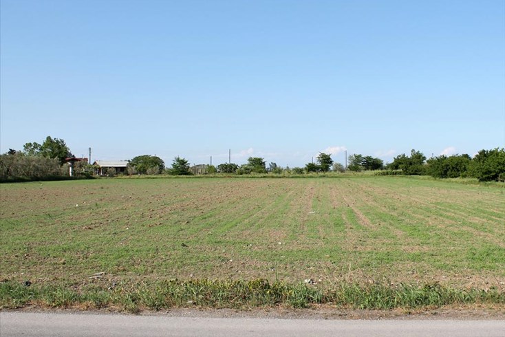 Realty photo 1