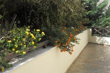 Property 1061 photo 13