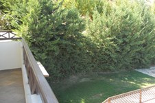 Property 1061 photo 17
