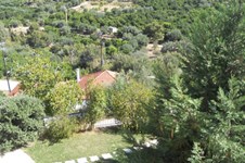 Property 1061 photo 18