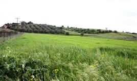 სასტუმრო 10500 m² სალონიკის გარეუბანში