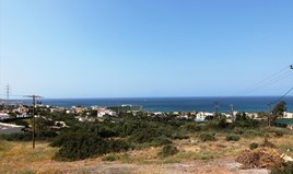 Land 8000 m² auf Kreta