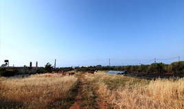 Land 6880 m² in Crete