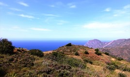 Land 4050 m² in Crete