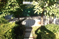 Property 1068 photo 3