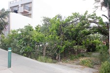 Property 10684 photo 2